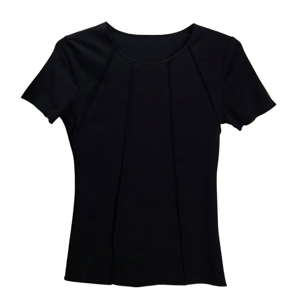 NWOT | Short Sleeve Sculpting Top | Vertical Architectural Seaming | Small
